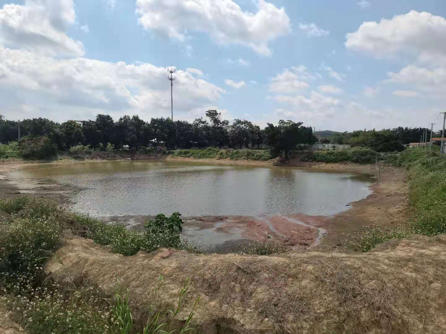 明城镇新岗村地块污染状况调查